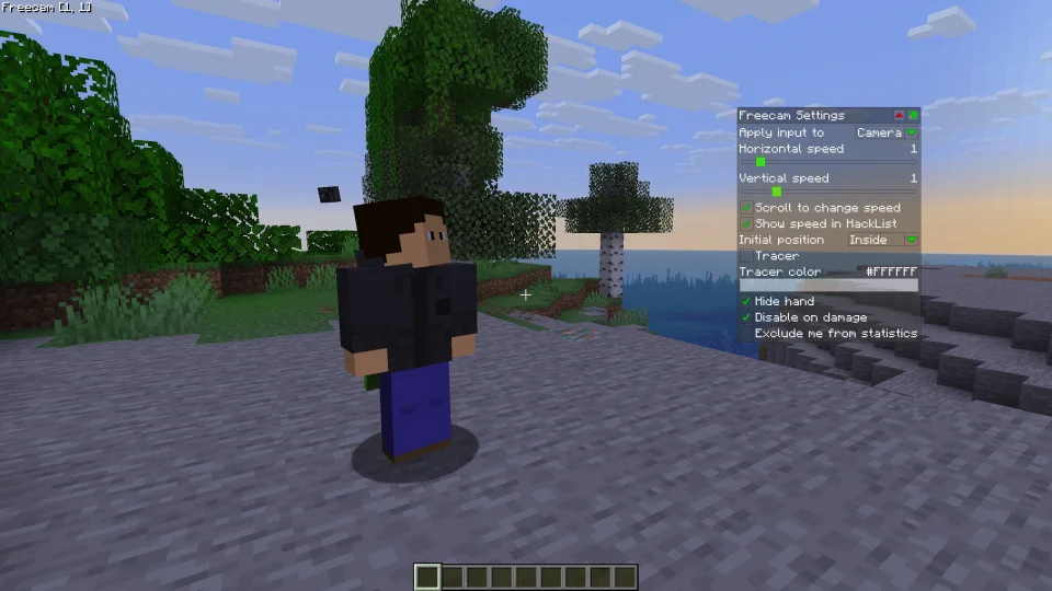 WI Freecam v1.0 MC26.1-pre-3